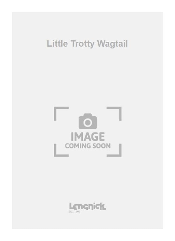 Little Trotty Wagtail